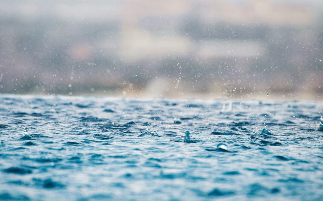 Récupérer l’eau de pluie, une solution intelligente.